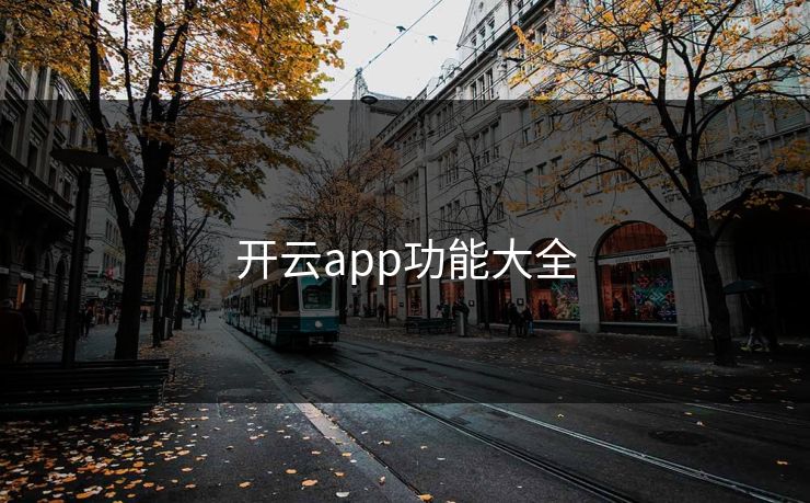 开云app功能大全